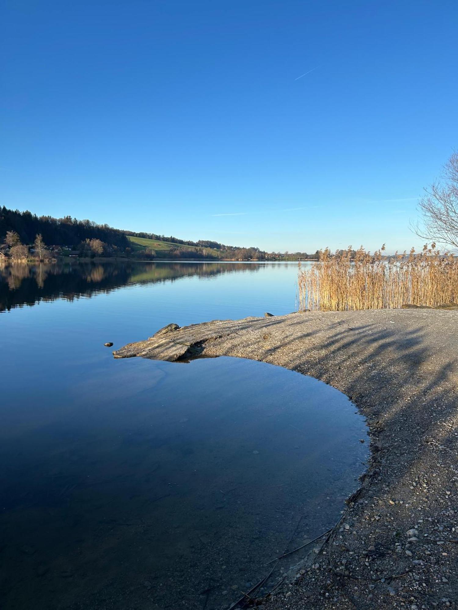 Ferienwohnungen Am See Obertrum am See Bagian luar foto